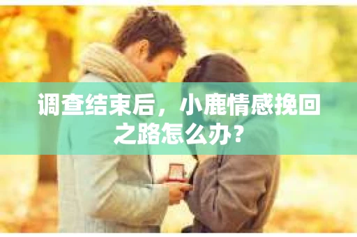 调查结束后，小鹿情感挽回之路怎么办？