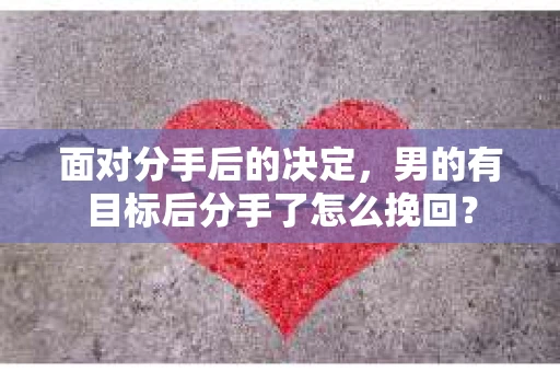 面对分手后的决定，男的有目标后分手了怎么挽回？