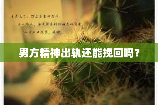 男方精神出轨还能挽回吗？