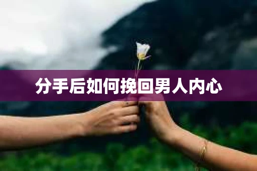 分手后如何挽回男人内心