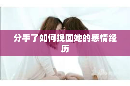分手了如何挽回她的感情经历