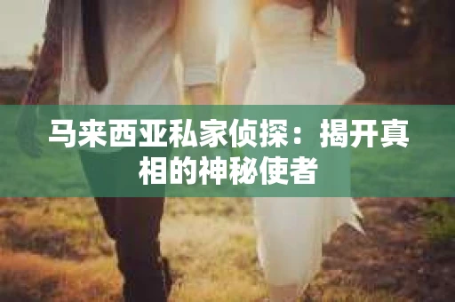 马来西亚私家侦探：揭开真相的神秘使者