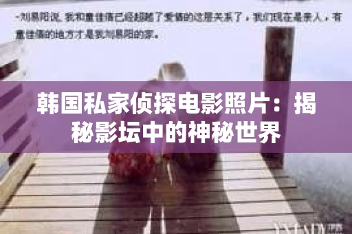 韩国私家侦探电影照片：揭秘影坛中的神秘世界