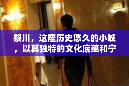 黎川，这座历史悠久的小城，以其独特的文化底蕴和宁静的生活节奏吸引着无数游客。然而，在这样一个看似平静的城市里，你是否会好奇，有没有私家侦探机构的存在呢？今天，就让我带你一探究竟。