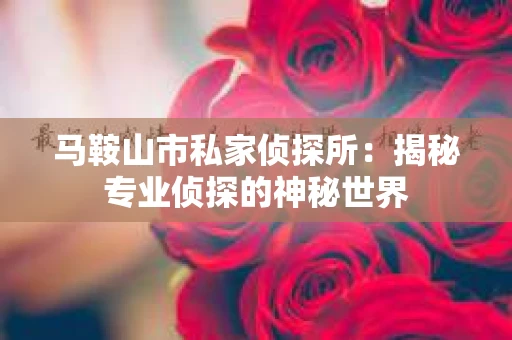 马鞍山市私家侦探所：揭秘专业侦探的神秘世界