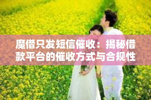 魔借只发短信催收：揭秘借款平台的催收方式与合规性