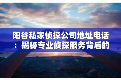 阳谷私家侦探公司地址电话：揭秘专业侦探服务背后的故事