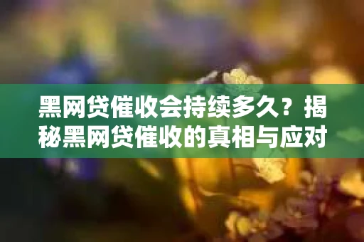 黑网贷催收会持续多久？揭秘黑网贷催收的真相与应对策略