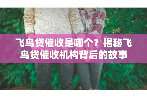 飞鸟贷催收是哪个？揭秘飞鸟贷催收机构背后的故事