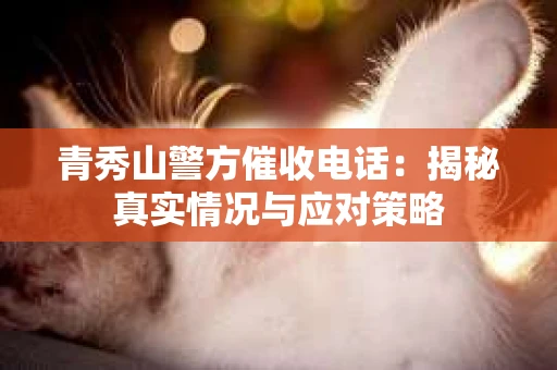 青秀山警方催收电话：揭秘真实情况与应对策略