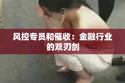 风控专员和催收：金融行业的双刃剑
