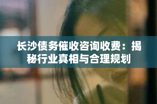 长沙债务催收咨询收费：揭秘行业真相与合理规划