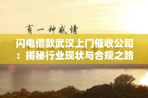 闪电借款武汉上门催收公司：揭秘行业现状与合规之路