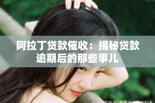 阿拉丁贷款催收：揭秘贷款逾期后的那些事儿