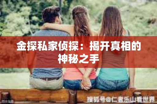 金探私家侦探：揭开真相的神秘之手