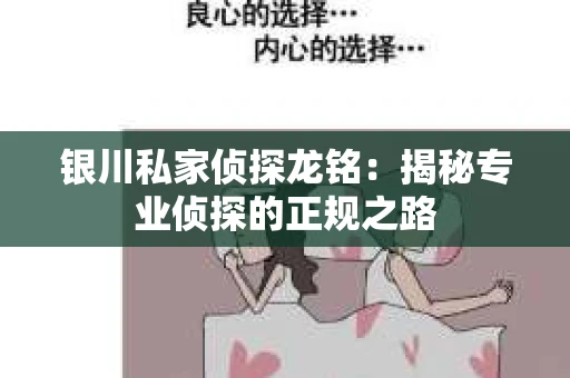 银川私家侦探龙铭：揭秘专业侦探的正规之路