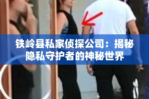 铁岭县私家侦探公司：揭秘隐私守护者的神秘世界