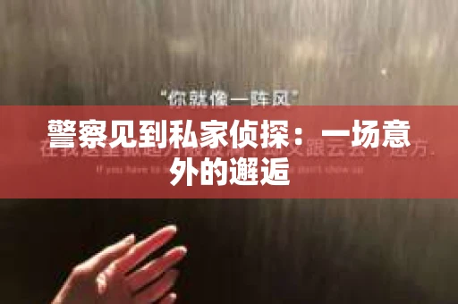 警察见到私家侦探：一场意外的邂逅