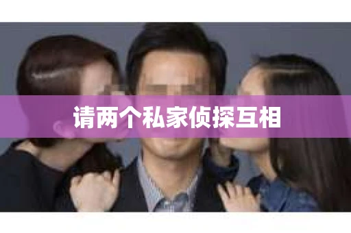 请两个私家侦探互相