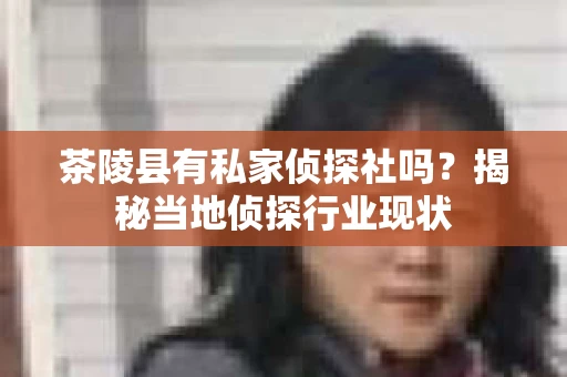 茶陵县有私家侦探社吗？揭秘当地侦探行业现状