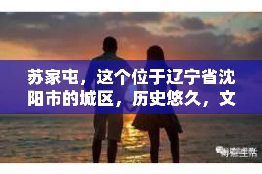 苏家屯，这个位于辽宁省沈阳市的城区，历史悠久，文化底蕴深厚。近年来，随着社会的发展，人们对于私家侦探的需求也逐渐增加。那么，苏家屯有私家侦探吗？今天，我们就来聊聊这个话题。