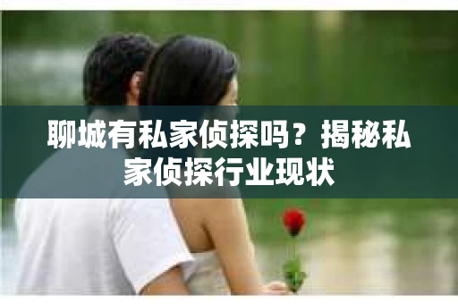 聊城有私家侦探吗？揭秘私家侦探行业现状