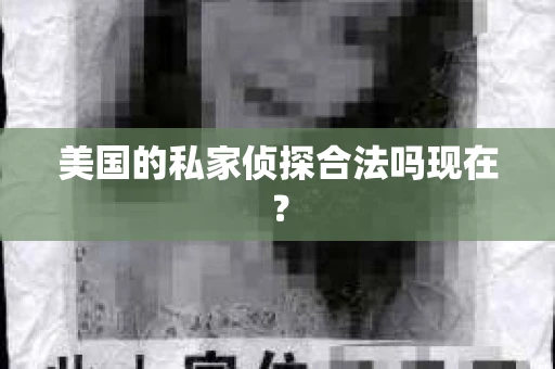 美国的私家侦探合法吗现在？