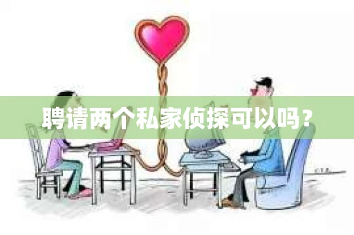 聘请两个私家侦探可以吗？