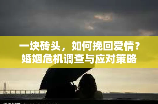 一块砖头，如何挽回爱情？婚姻危机调查与应对策略