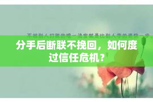 分手后断联不挽回，如何度过信任危机？