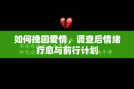 如何挽回爱情，调查后情绪疗愈与前行计划