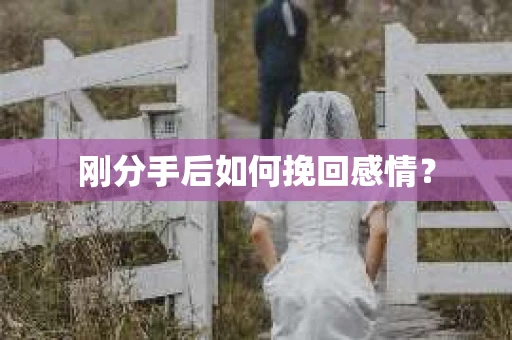 刚分手后如何挽回感情？